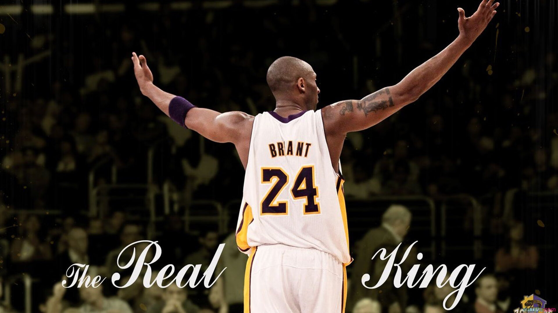 勇士遭双败,面临魔鬼赛程考验!科尔联盟前四梦或遥远?,勇士科尔简介